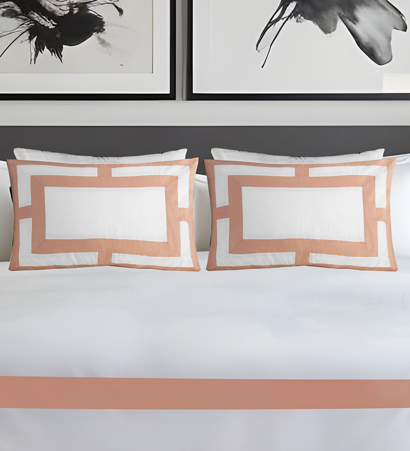 Two decorative pillows with a peach border on a bed, with abstract art in the background.