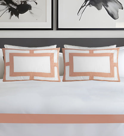 Two decorative pillows with a peach border on a bed, with abstract art in the background.