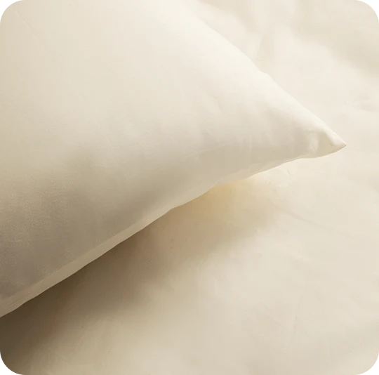 Two beige pillows on a light beige background