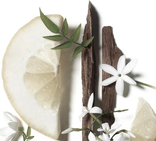 White soap bar with vanilla bean and white flowers on a white background