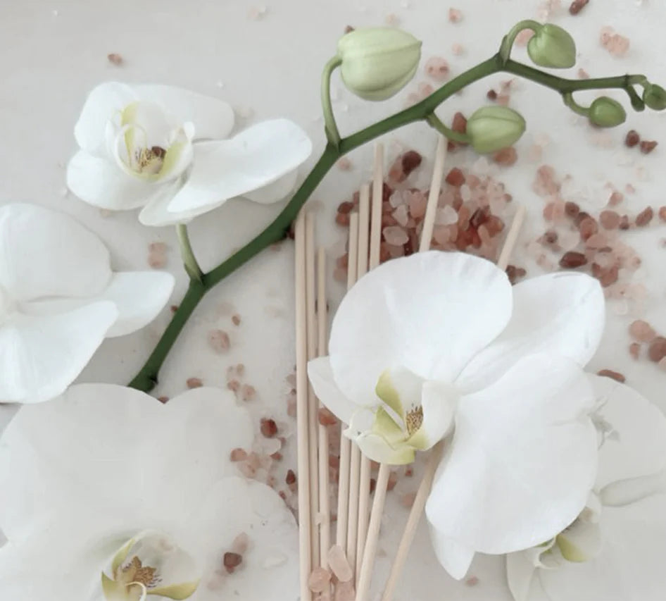 White orchids with a diffuser stick on a light background