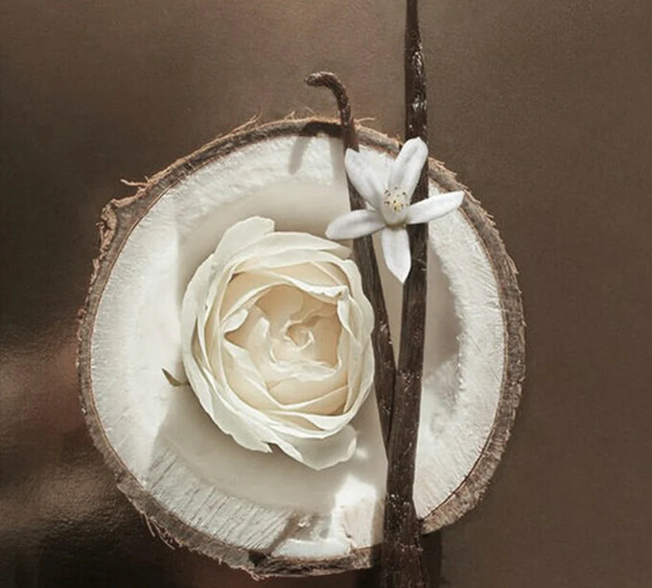 Coconut shell with a white rose and flower on a brown background